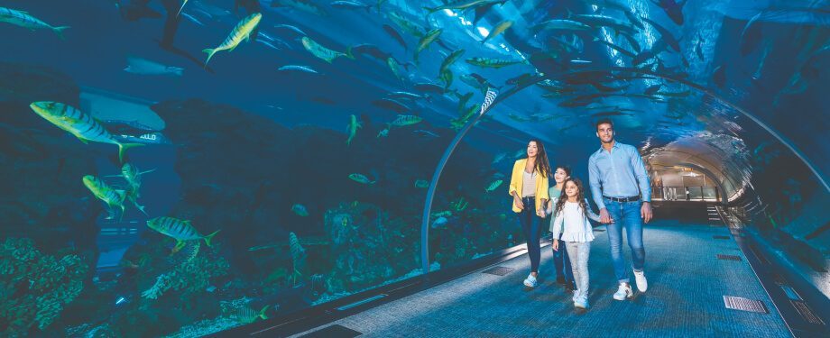 Повторное использование воды в Dubai Aquarium & Underwater Zoo